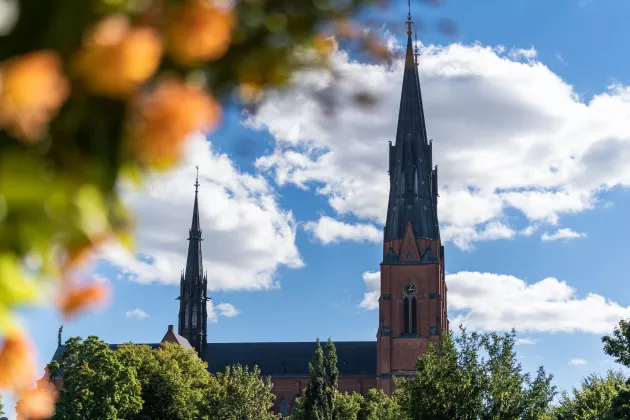 view from Uppsala.photo